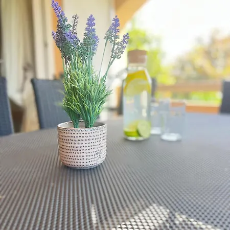 Mint Bellavista * Вир